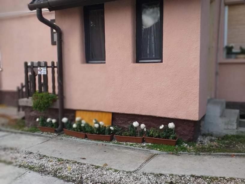 Malomtavi Vendégház Tapolca Exterior foto